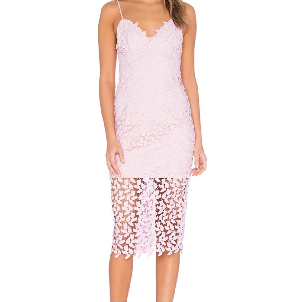 Bardot pink lace nude lining dress medium